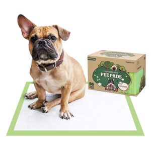 Pogi’s Training Pads – Large, Super-Absorbent, Earth-Friendly Puppy Pee Pads for Dogs