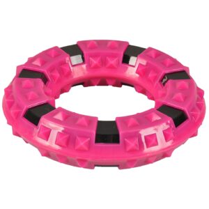 Flamingo  Dog Interactive Dt Tpr Strong Spiky Ring Rose 15Cm